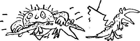 0-12-10.jpg
