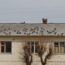 Серпухов, Высоцкий монастырь, Поленово, Таруса, Мелихово, Талеж