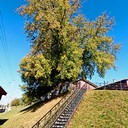 Ясная поляна, Спасское-Лутовиново, Орел, Тула