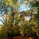 Ясная поляна, Спасское-Лутовиново, Орел, Тула