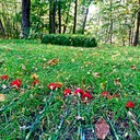 Ясная поляна, Спасское-Лутовиново, Орел, Тула