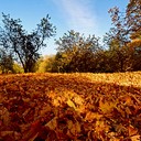Ясная поляна, Спасское-Лутовиново, Орел, Тула