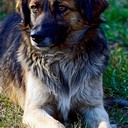 Ясная поляна, Спасское-Лутовиново, Орел, Тула