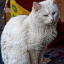 Ясная поляна, Спасское-Лутовиново, Орел, Тула