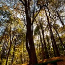 Ясная поляна, Спасское-Лутовиново, Орел, Тула