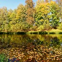Ясная поляна, Спасское-Лутовиново, Орел, Тула