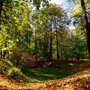 Ясная поляна, Спасское-Лутовиново, Орел, Тула