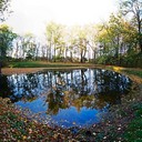 Ясная поляна, Спасское-Лутовиново, Орел, Тула