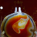 Минск, Дудутки, Несвиж, Витебск, Здравнево