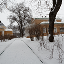 Тамбов, Мичуринск, Тарханы, Скопин, Михайлов