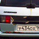 Самара, Пенза, Хвалынск, Лох