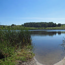 Самара, Пенза, Хвалынск, Лох