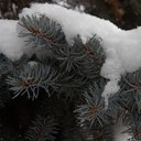 Венёв, Озеры, Зарайск