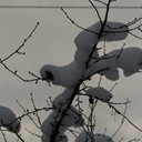 Венёв, Озеры, Зарайск