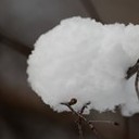 Венёв, Озеры, Зарайск