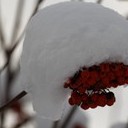 Венёв, Озеры, Зарайск