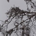 Венёв, Озеры, Зарайск