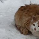 Венёв, Озеры, Зарайск
