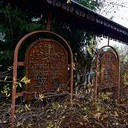 Торопец, Великие Луки, Полибино, Витебск, Здравнёво