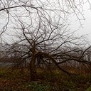 Торопец, Великие Луки, Полибино, Витебск, Здравнёво