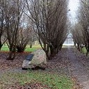Торопец, Великие Луки, Полибино, Витебск, Здравнёво