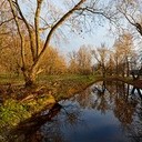 Торопец, Великие Луки, Полибино, Витебск, Здравнёво
