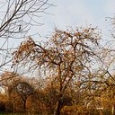 Торопец, Великие Луки, Полибино, Витебск, Здравнёво