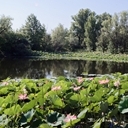Белгород, Прохоровка, Воронеж, Волгоград, Эльтон, Озеро лотосов, Самара, Казань, Йошкар-Ола, Чебоксары, Нижний Новгород