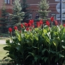 Белгород, Прохоровка, Воронеж, Волгоград, Эльтон, Озеро лотосов, Самара, Казань, Йошкар-Ола, Чебоксары, Нижний Новгород