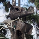 Белгород, Прохоровка, Воронеж, Волгоград, Эльтон, Озеро лотосов, Самара, Казань, Йошкар-Ола, Чебоксары, Нижний Новгород
