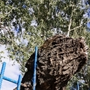 Белгород, Прохоровка, Воронеж, Волгоград, Эльтон, Озеро лотосов, Самара, Казань, Йошкар-Ола, Чебоксары, Нижний Новгород