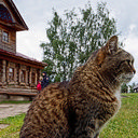 Суздаль