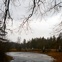 Брянск