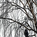 Дмитров, Кимры, Гадово, Тверь, Торжок, сырная ферма Fattoria del Sole