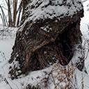 Дмитров, Кимры, Гадово, Тверь, Торжок, сырная ферма Fattoria del Sole