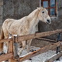 Дмитров, Кимры, Гадово, Тверь, Торжок, сырная ферма Fattoria del Sole