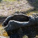 Галич, Асташово, Солигалич