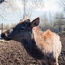 Галич, Асташово, Солигалич