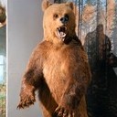 Галич, Асташово, Солигалич