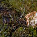 Волоколамск, Ржев, Осташков, Селигерские Кижи, Оковецкий источник, Нилова пустынь