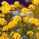 Волоколамск, Ржев, Осташков, Селигерские Кижи, Оковецкий источник, Нилова пустынь