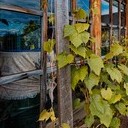 Волоколамск, Ржев, Осташков, Селигерские Кижи, Оковецкий источник, Нилова пустынь