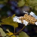 Волоколамск, Ржев, Осташков, Селигерские Кижи, Оковецкий источник, Нилова пустынь