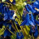 Волоколамск, Ржев, Осташков, Селигерские Кижи, Оковецкий источник, Нилова пустынь