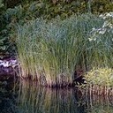 Волоколамск, Ржев, Осташков, Селигерские Кижи, Оковецкий источник, Нилова пустынь