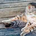 Волоколамск, Ржев, Осташков, Селигерские Кижи, Оковецкий источник, Нилова пустынь