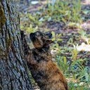 Волоколамск, Ржев, Осташков, Селигерские Кижи, Оковецкий источник, Нилова пустынь