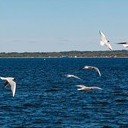 Волоколамск, Ржев, Осташков, Селигерские Кижи, Оковецкий источник, Нилова пустынь