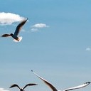 Волоколамск, Ржев, Осташков, Селигерские Кижи, Оковецкий источник, Нилова пустынь