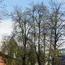 Москва - Саратов - Самара - Ульяновск - Йошкар-ола - Свияжск - Киров - Бельник - Чебоксары - Нижний Новгород - Ковров - Владимир - Москва